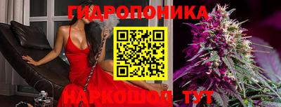 прущий лед Будённовск