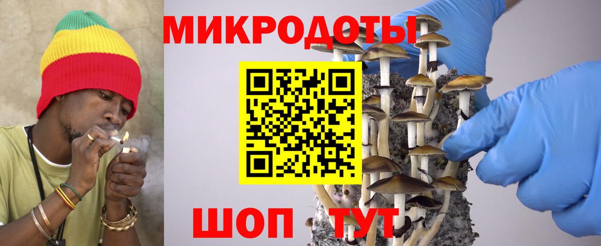 Галлюциногенные грибы MAGIC MUSHROOMS  Псилоцибиновые грибы мицелий  Сургут  Вход с VPN 