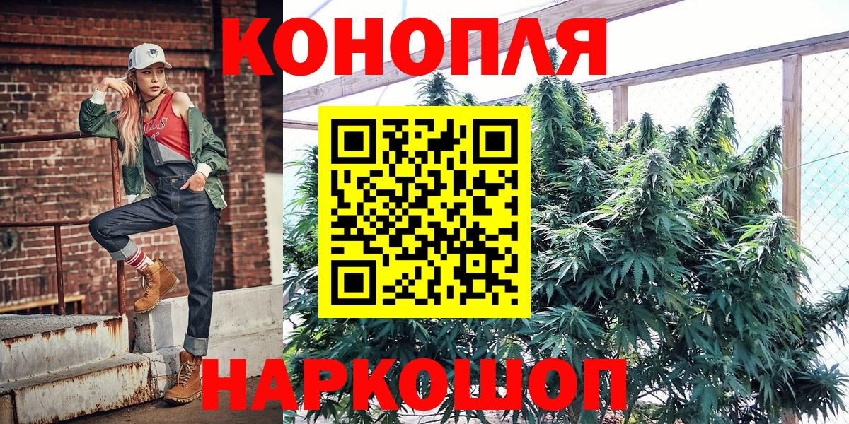 Бошки Шишки планчик Сургут